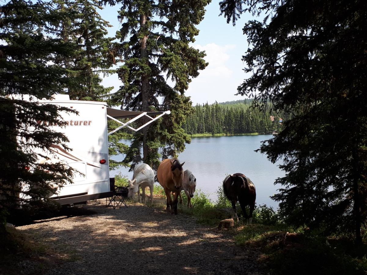 Bed and Breakfast Wettstone Guest Ranch Bridge Lake Exterior foto