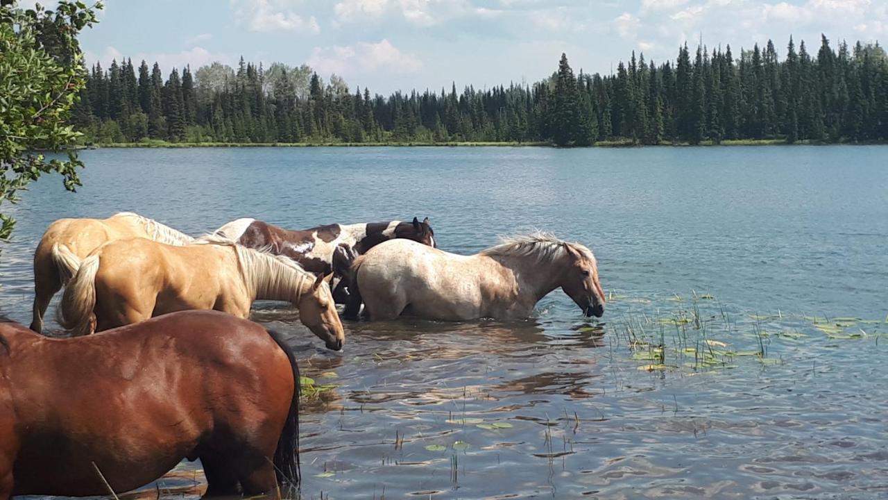 Bed and Breakfast Wettstone Guest Ranch Bridge Lake Exterior foto
